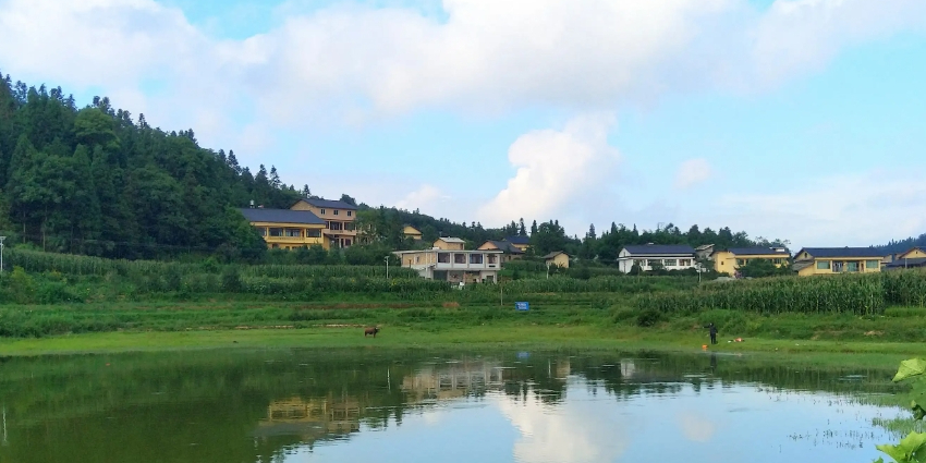 仙草湖