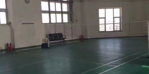 奥威斯发展大厦羽毛球馆