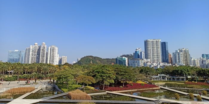 海滨公园