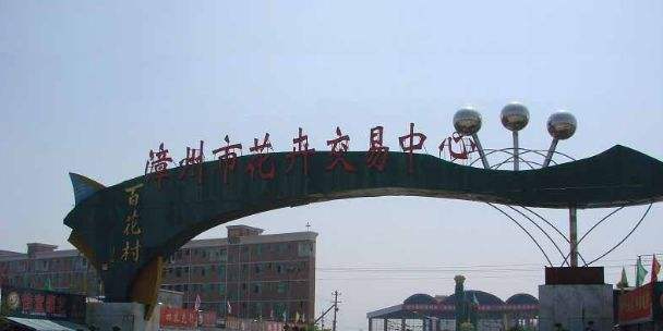 百花村花卉交易市场