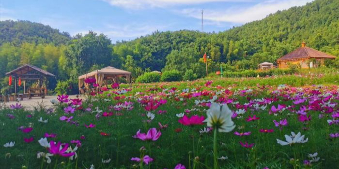 江西省赣州市章贡区沙石镇龙岗村小山仔组