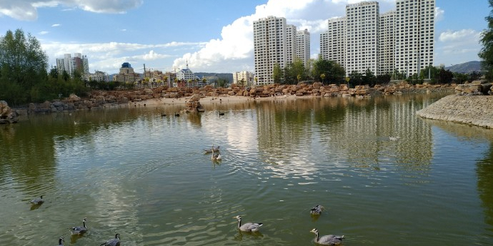 青藏高原野生动物园