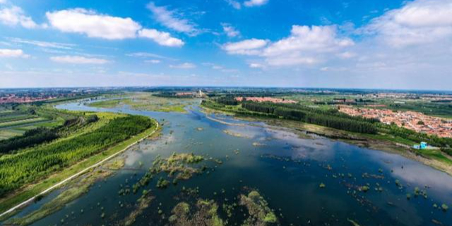 大沽河