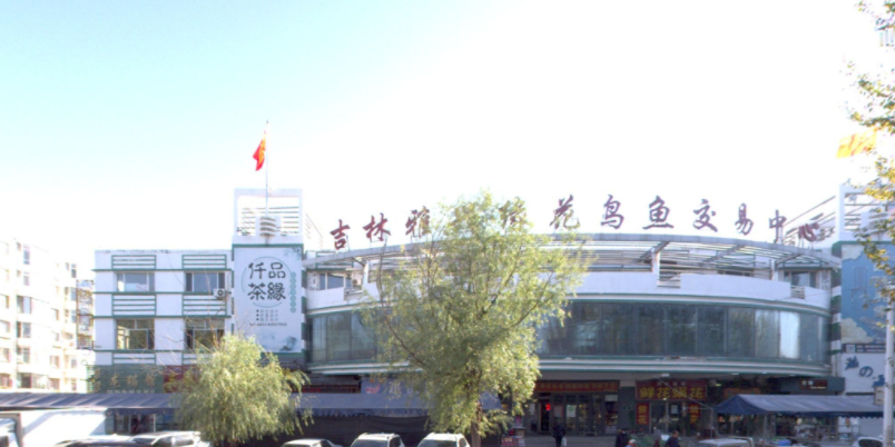 花鸟鱼市场交易市场