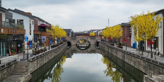 绍兴市越城区浴龙路紫金府