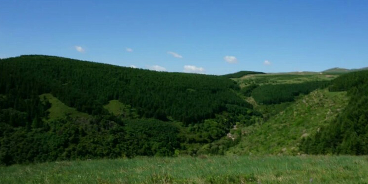 大青山国家级森林公园