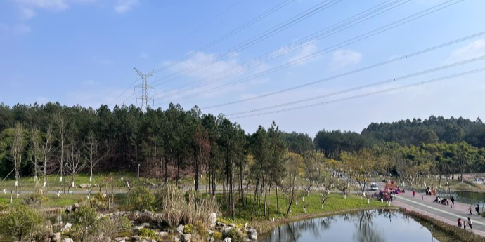 永安湖城市森林公园