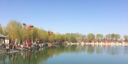 肃州植物园