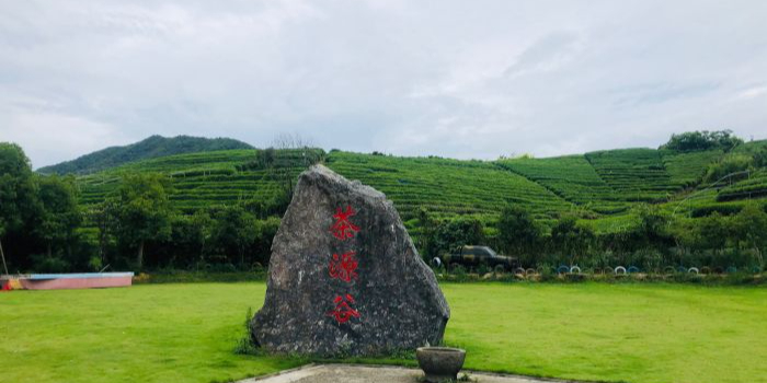茶源谷户外营地