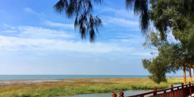 北海市铁山港青山头乡村旅游区