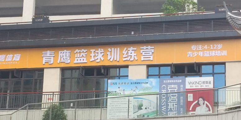 青鹰篮求训练营