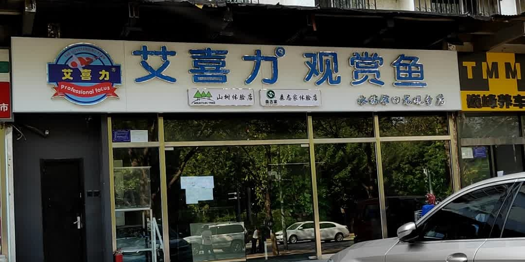 艾喜力观赏鱼水zu馆(回龙观分店)
