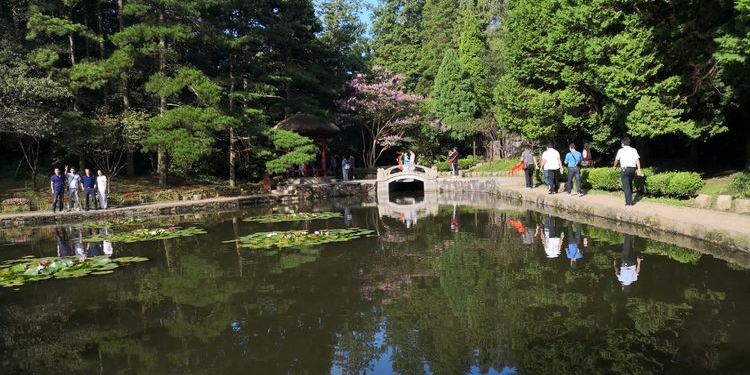 庐山花径
