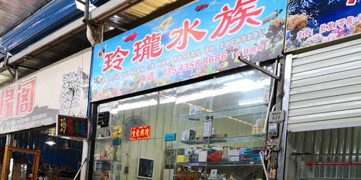 玲珑水族(社坛路店)