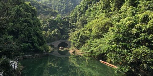 年古镇香榧林景区