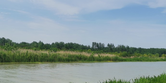 古黄河湿地公园