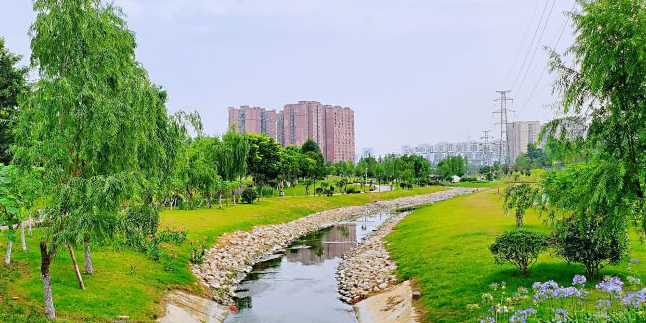 海滨公园