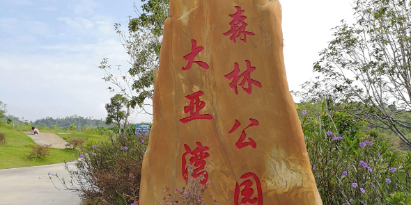 大亚湾森林公园