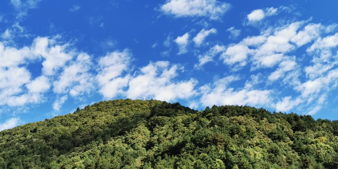 黄柏塬大箭沟经区