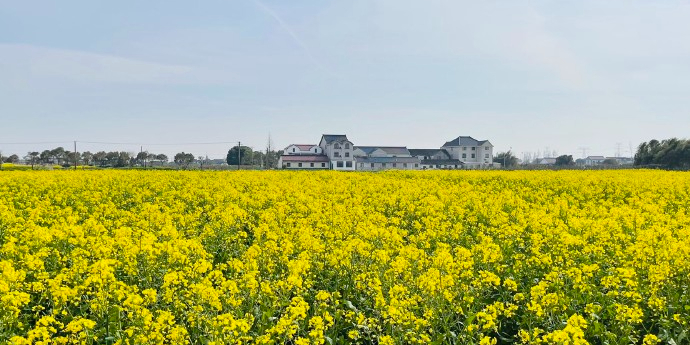 花米庄行景区