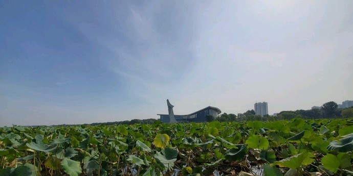 济宁市汶上县城北沿滨湖大道2公里处