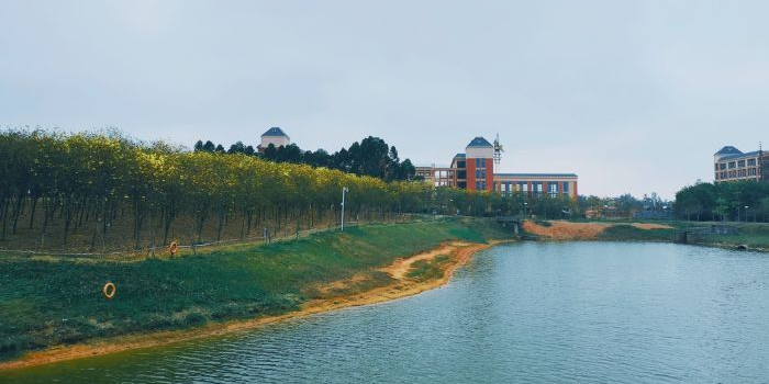 市民公园