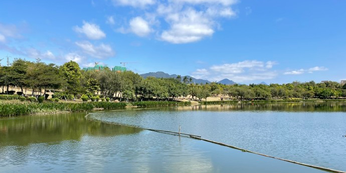 飞来湖湿地公园