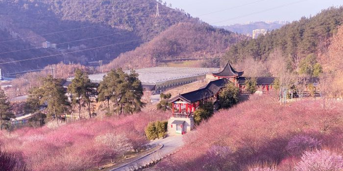 秦巴生态植物园