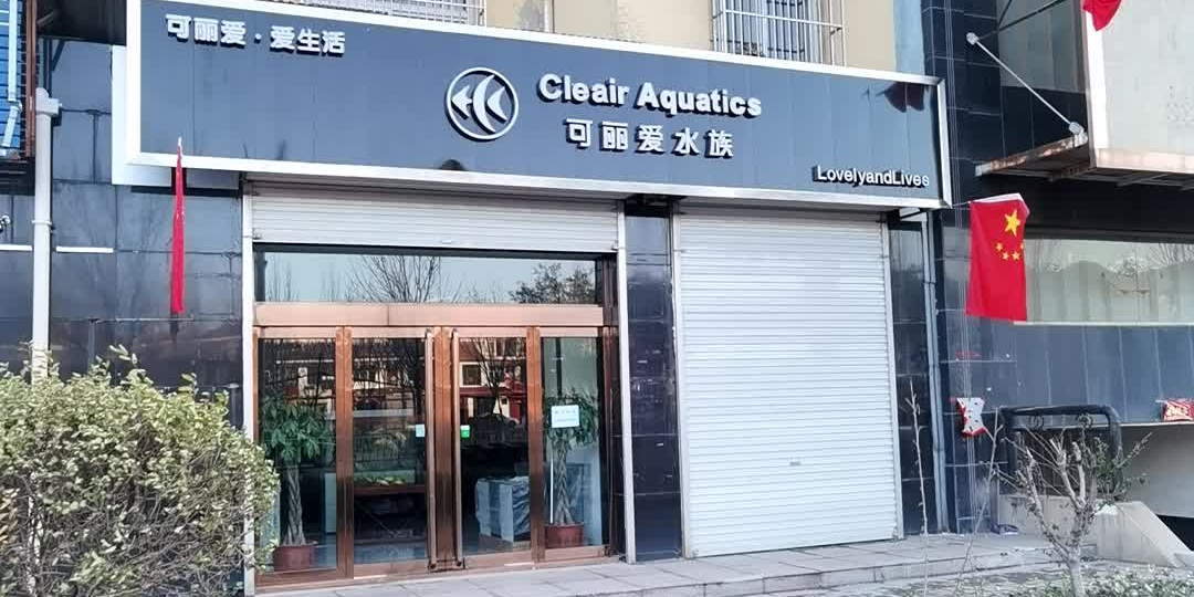 可丽爱水族