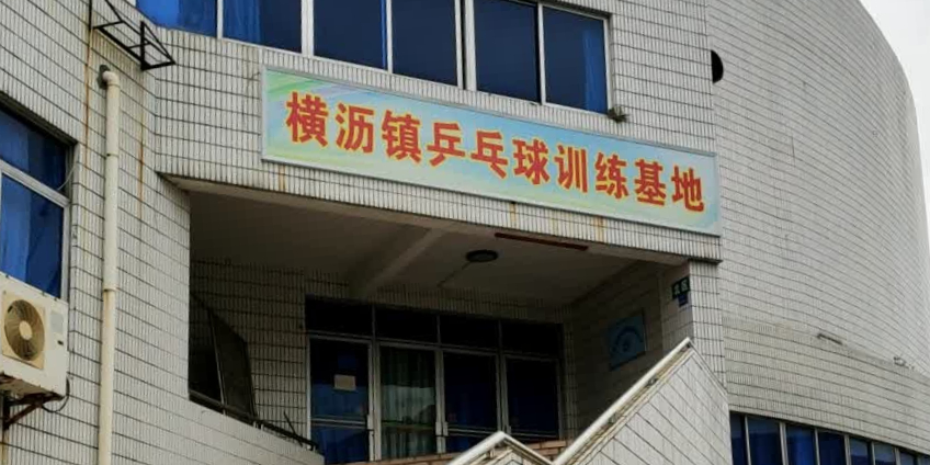 横沥镇乒乓球训练基地