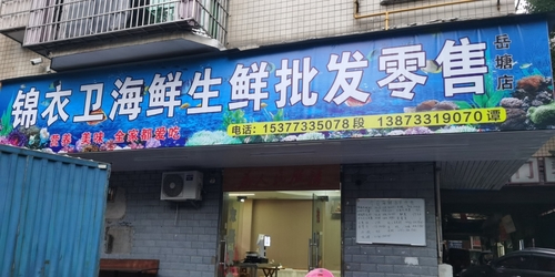 锦衣卫海鲜生鲜批发零售
