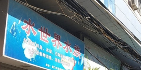 水世界水族(溪岸店)