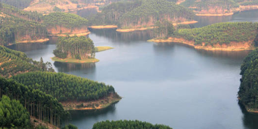 闽南千岛湖农家山庄