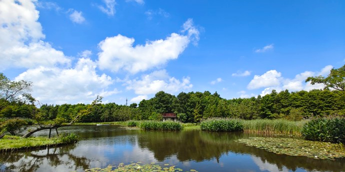 长兴岛湿地公园