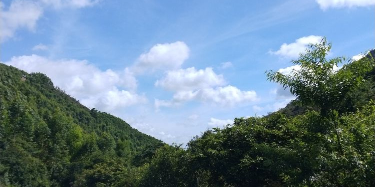 斗门区黄杨八景