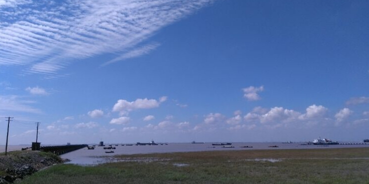 横沙岛湿地