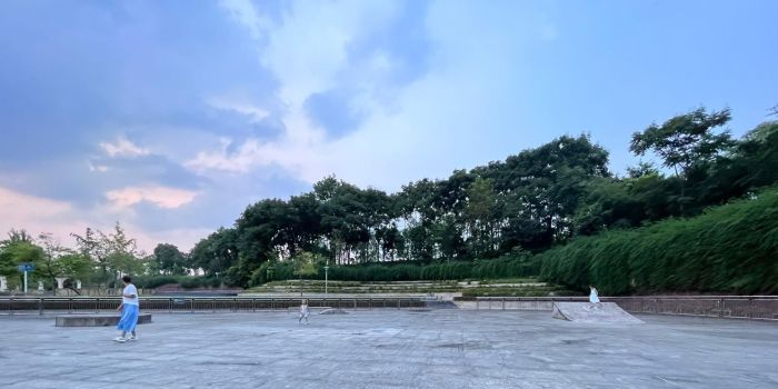 金山深林公园