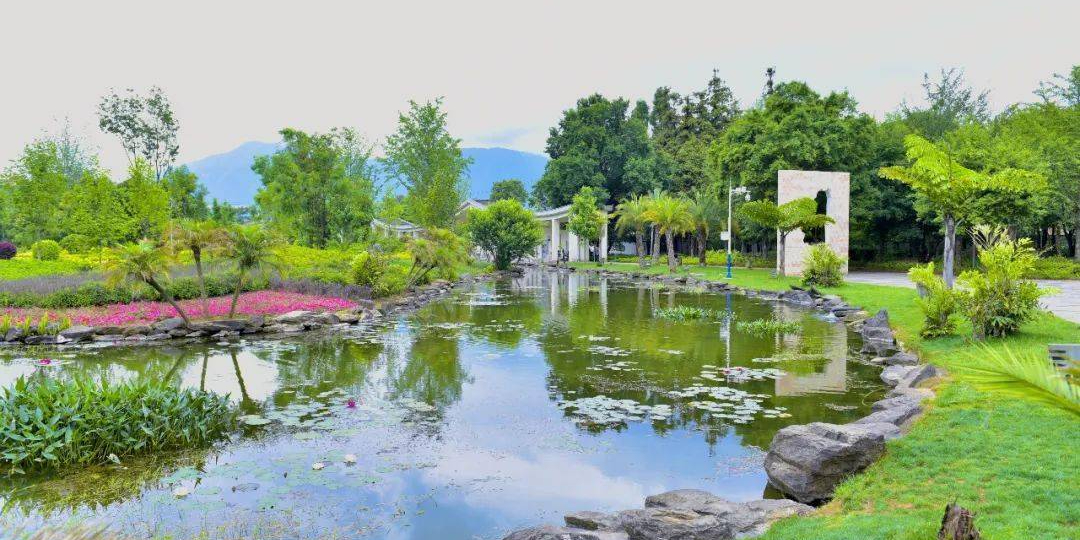 髙黎贡山植物园