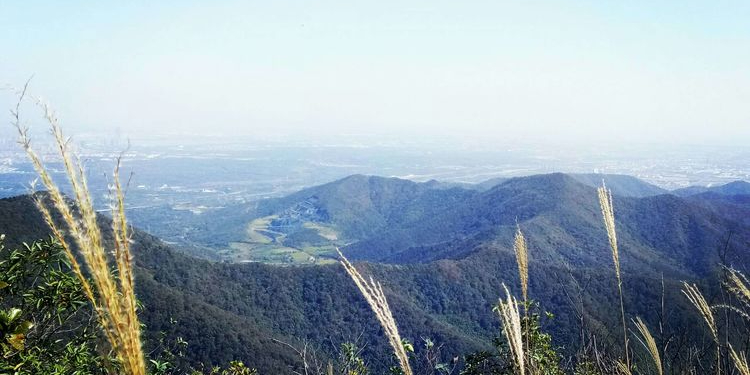 大铜官山