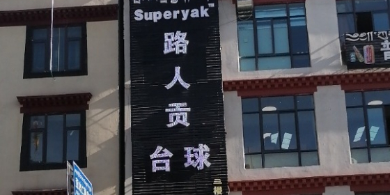 路人贡太球