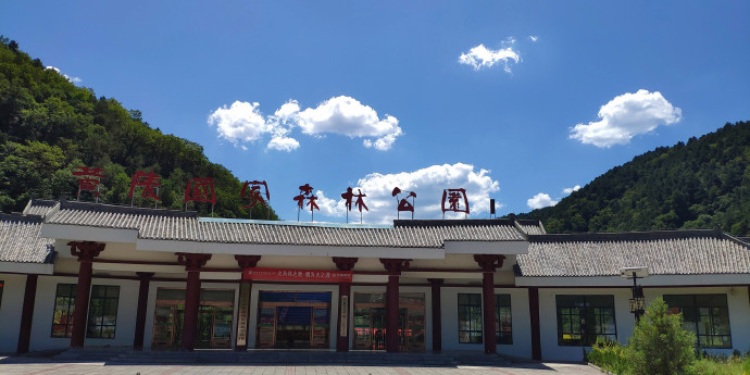 陕西黄陵国家森林公园