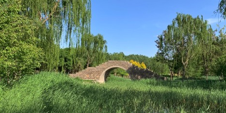 中坞公园