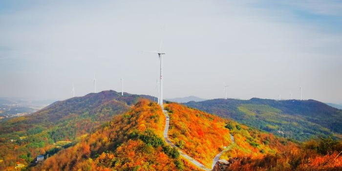 (大石坝森林公园