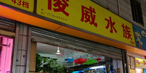 俊威水族