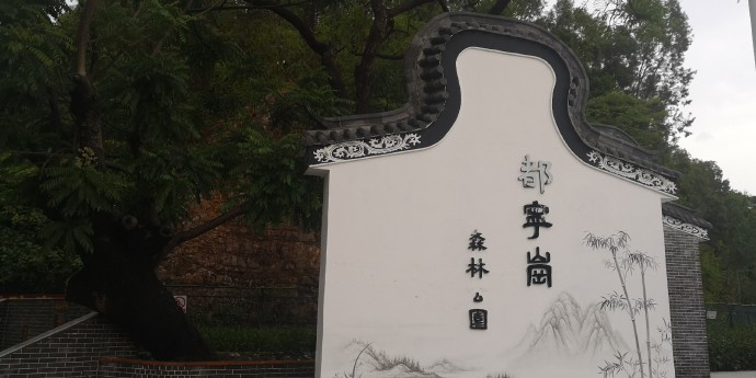 北滘都宁岗森林公园