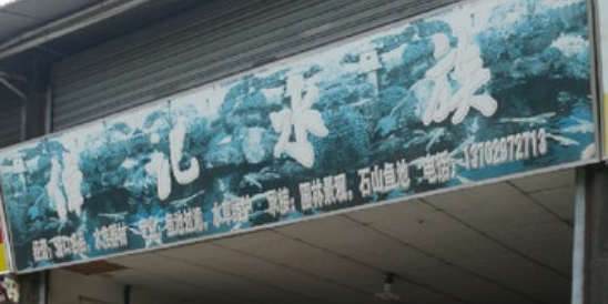 伟记水族