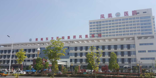 淮南东方医院集团凤凰医院