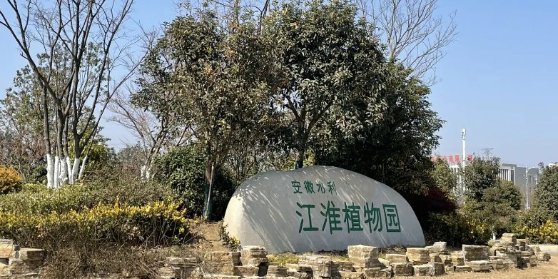 江淮w植物园