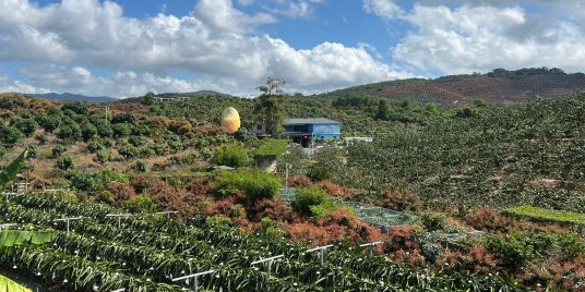 海南热带水果基地·芒果鸡·湖畔烤肉·垂钓