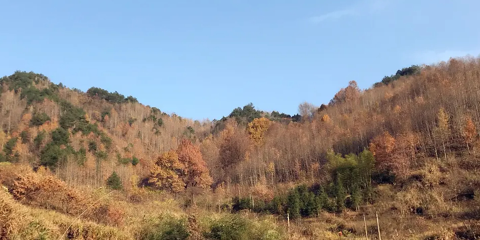 车慈岭